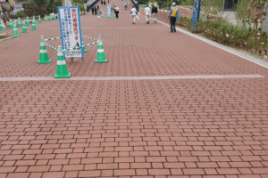 イメージ：スタンプ舗装完成